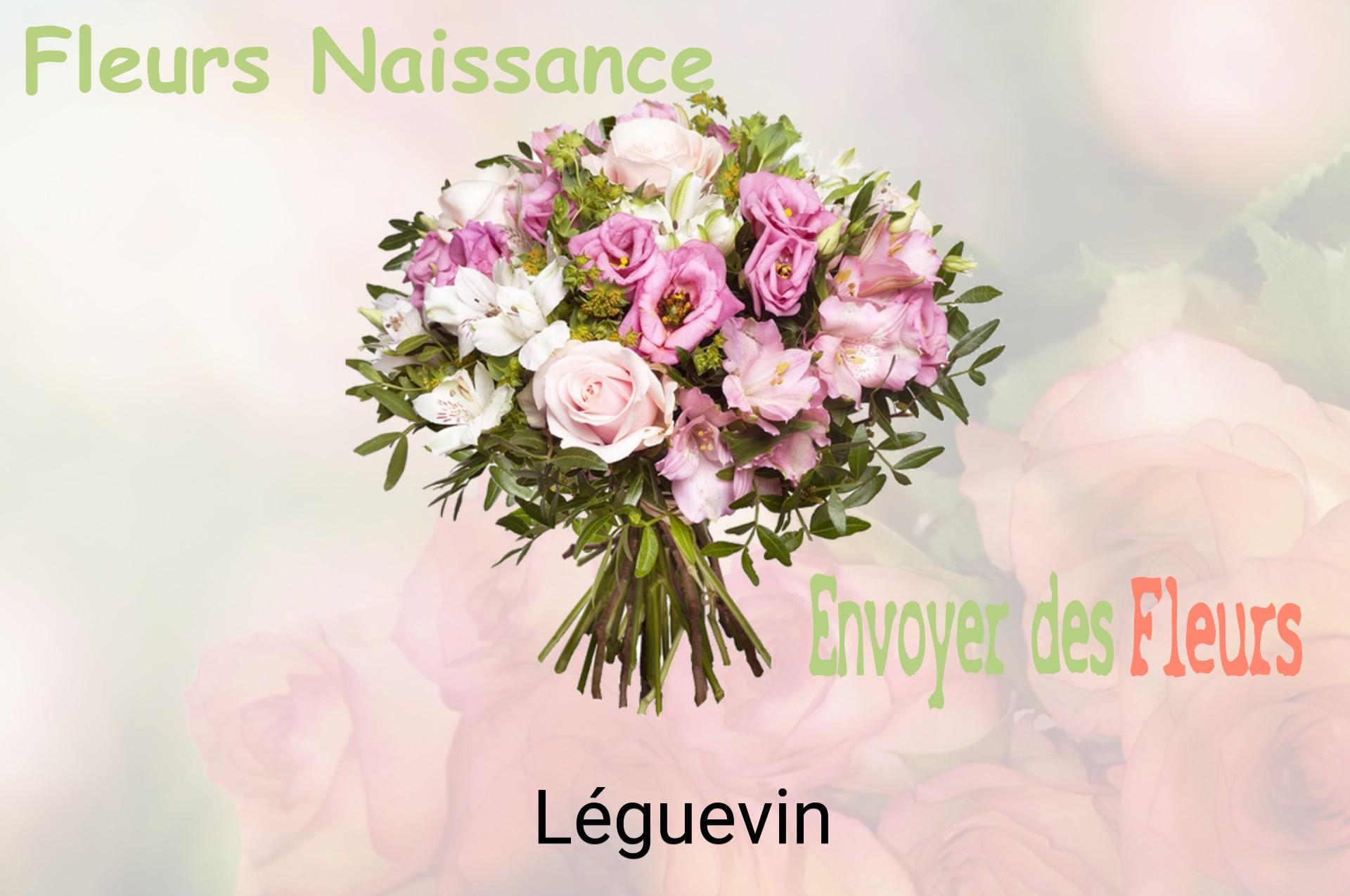Bouquet de fleurs de naissance livré à Léguevin