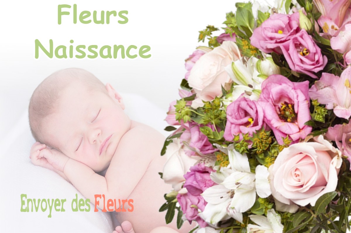 lIVRAISON FLEURS NAISSANCE à LEGUEVIN