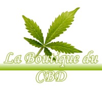 LA BOUTIQUE DU CBD LEGUEVIN 